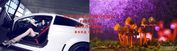 спайс Тольятти