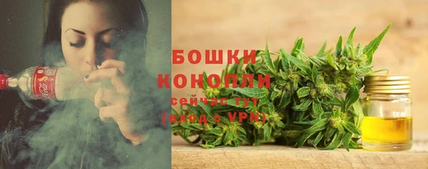 эйфоретик Каменка