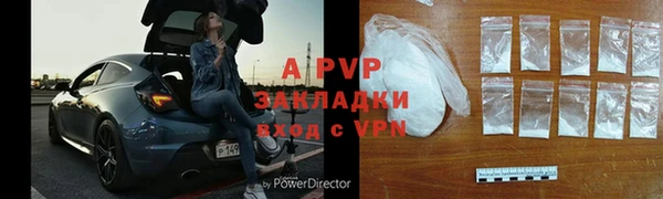 тгк Каменногорск