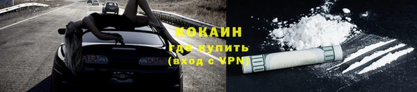 тгк Каменногорск