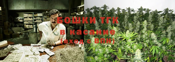 эйфоретик Каменка