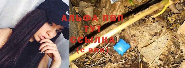 амф Каменск-Шахтинский