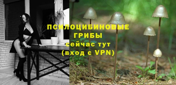 a pvp Инсар