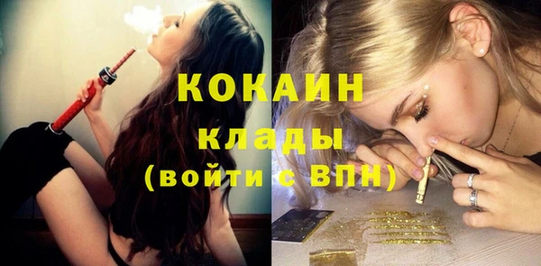 тгк Каменногорск