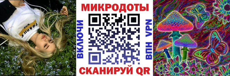 купить  цена  Клин  Псилоцибиновые грибы GOLDEN TEACHER 
