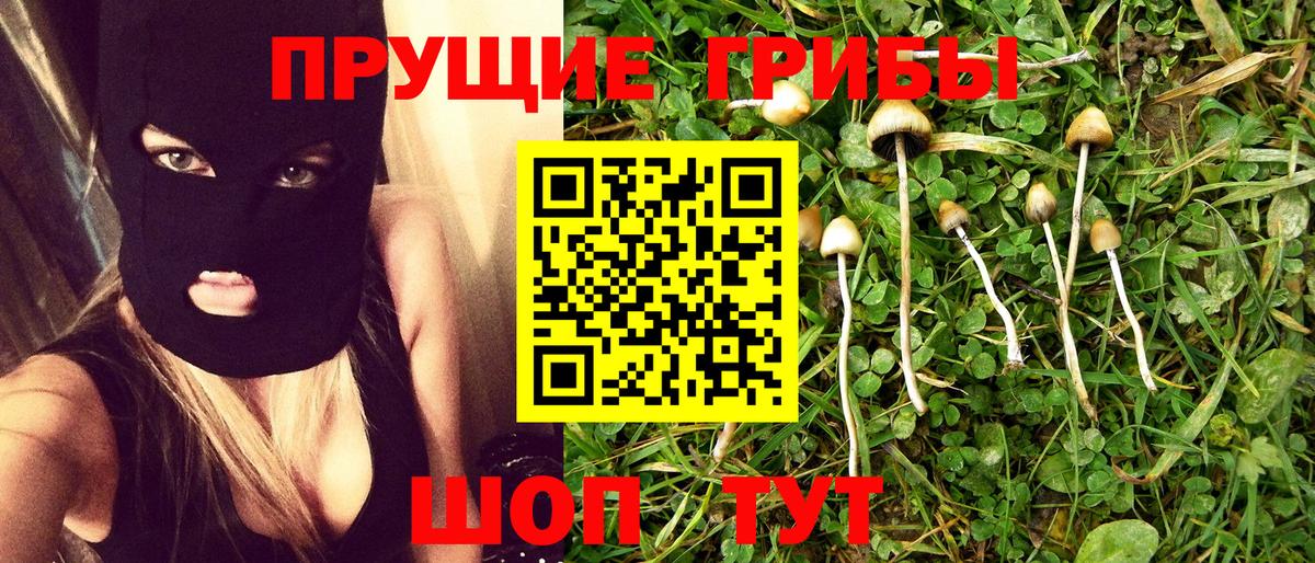 Псилоцибиновые грибы мицелий Клин